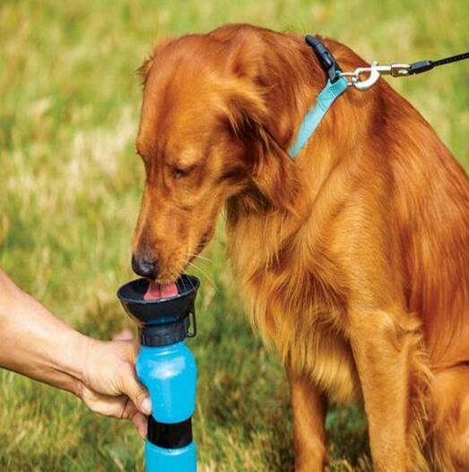 Portable Water Bottle Drinker For Pet Dogs - Found Essence